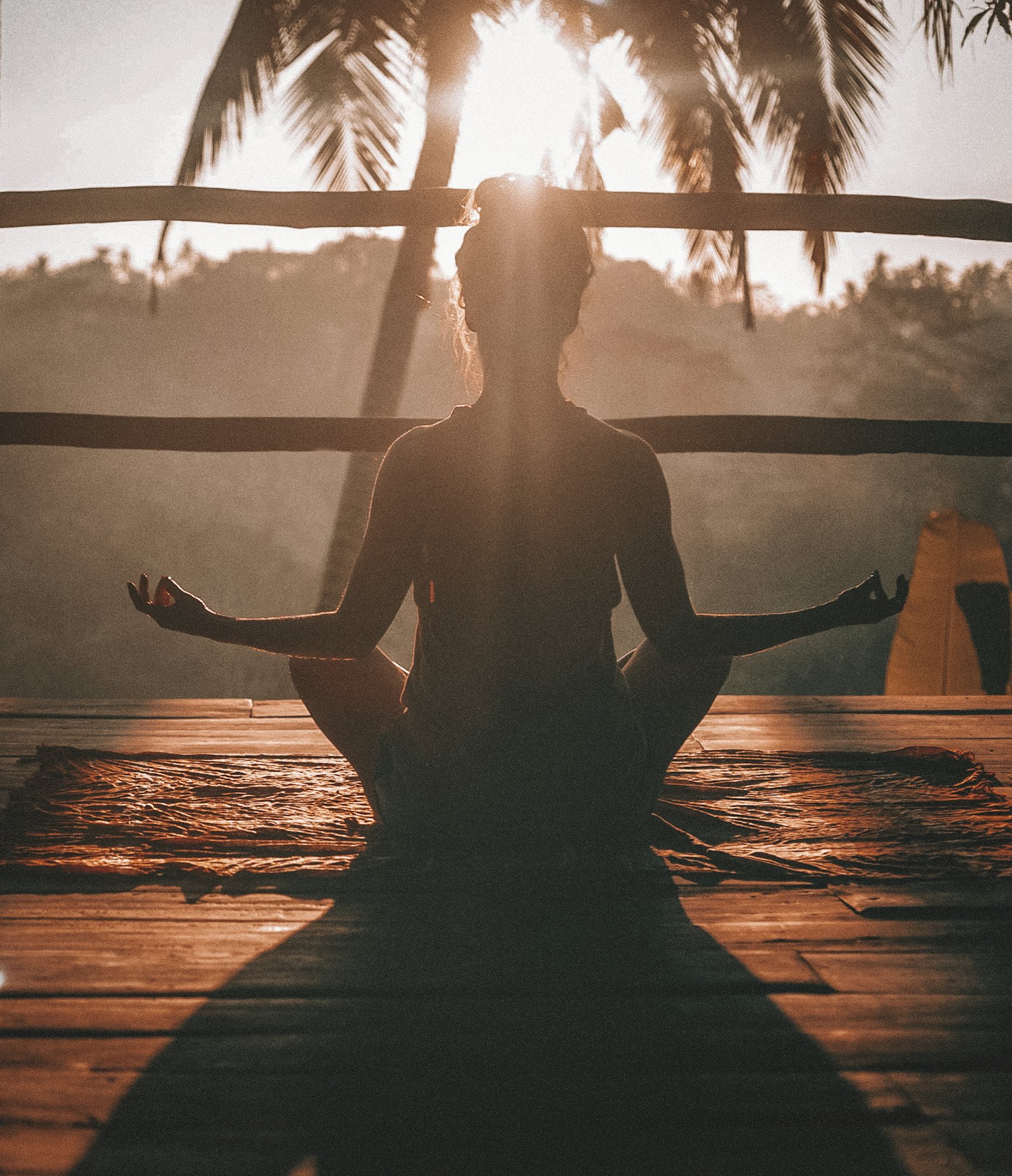 Self Help Brain Training with Meditation Music for the Brain and mental clarity programs