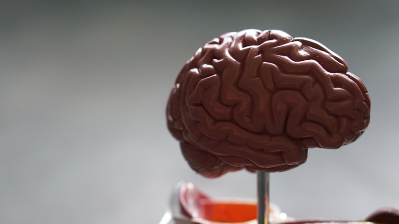 Brain Health Programs